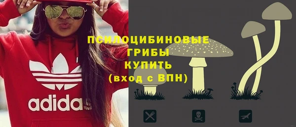 твердый Володарск
