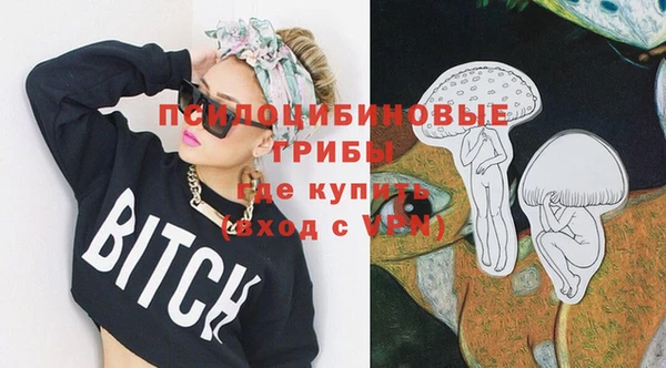 твердый Володарск