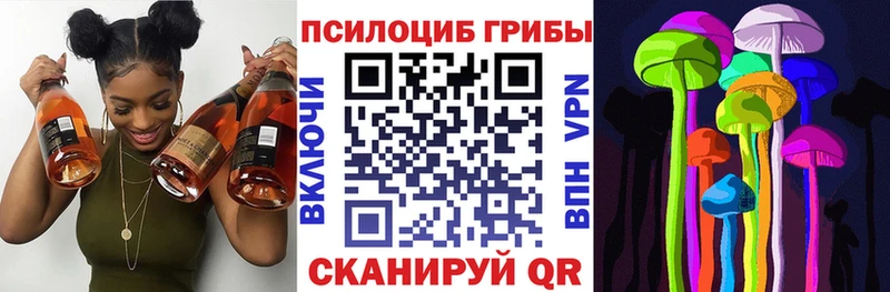 Псилоцибиновые грибы Psilocybe  Карабаш 